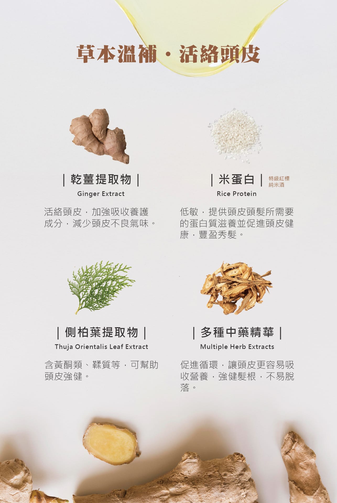 頭皮養護,頭皮護理,漢方養髮,活絡頭皮,強健髮根,減少落髮,減少頭皮異味,頭皮SPA,滋養調理,中藥,薑酒萃取,中藥養髮,頭皮滋養液,米蛋白,滲透吸收快,輕盈不黏膩,頭皮保養,沙龍級養髮,產後保養,頭皮滋養