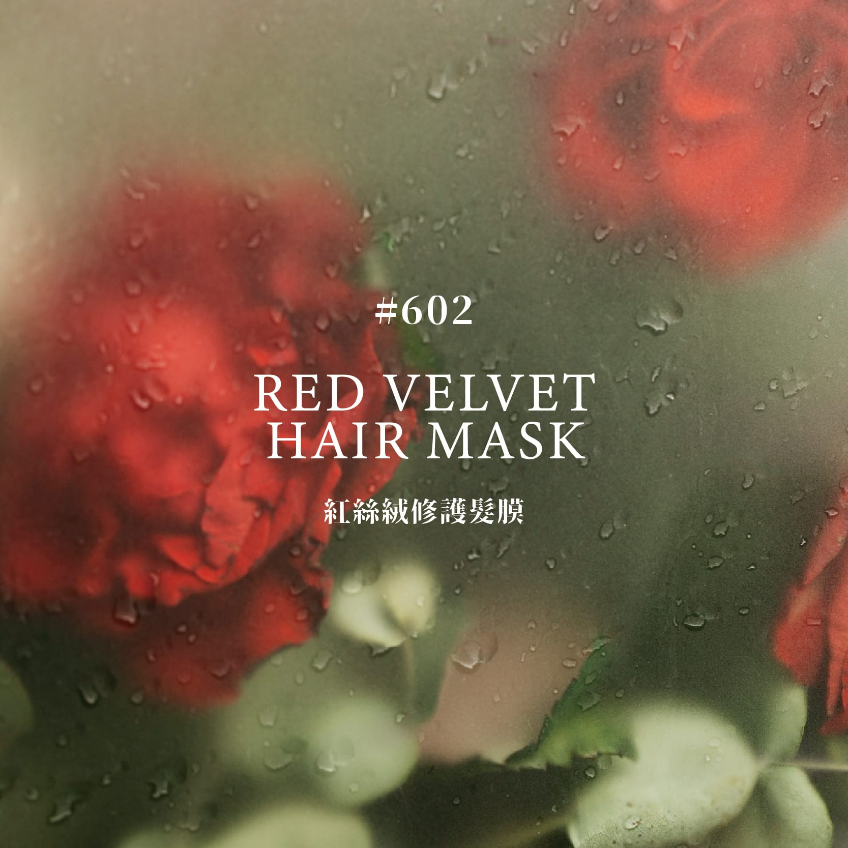 護髮素,護髮膜,玫瑰,深層修護,高效滋養,髮絲修護,柔順光澤,防止毛躁,抗靜電,抗紫外線,抗熱傷害,染燙髮,受損髮,乾燥順損,沙龍級,強韌髮絲,保濕鎖水,蓬鬆有彈性,豐盈秀髮,不扁塌