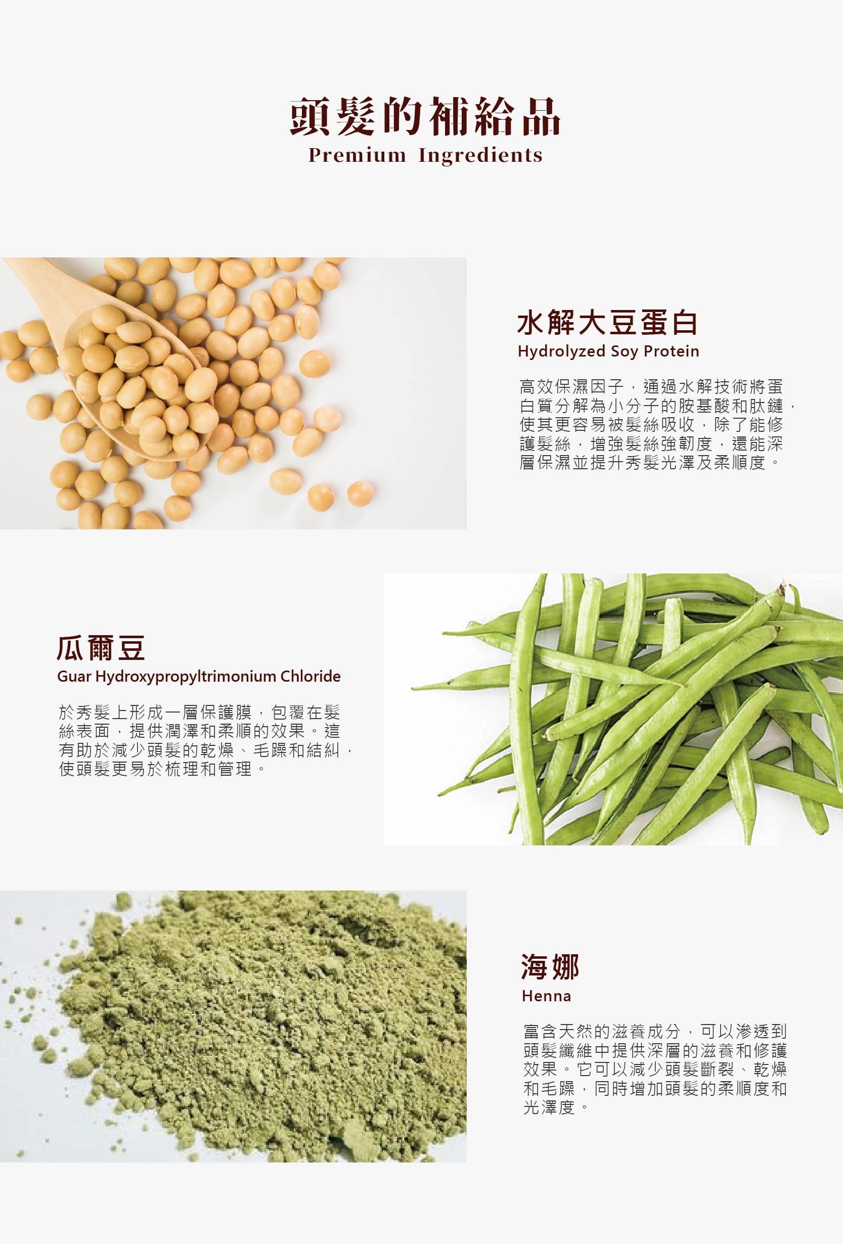 護髮素,護髮膜,玫瑰,深層修護,高效滋養,髮絲修護,柔順光澤,防止毛躁,抗靜電,抗紫外線,抗熱傷害,染燙髮,受損髮,乾燥順損,沙龍級,強韌髮絲,保濕鎖水,蓬鬆有彈性,豐盈秀髮,不扁塌