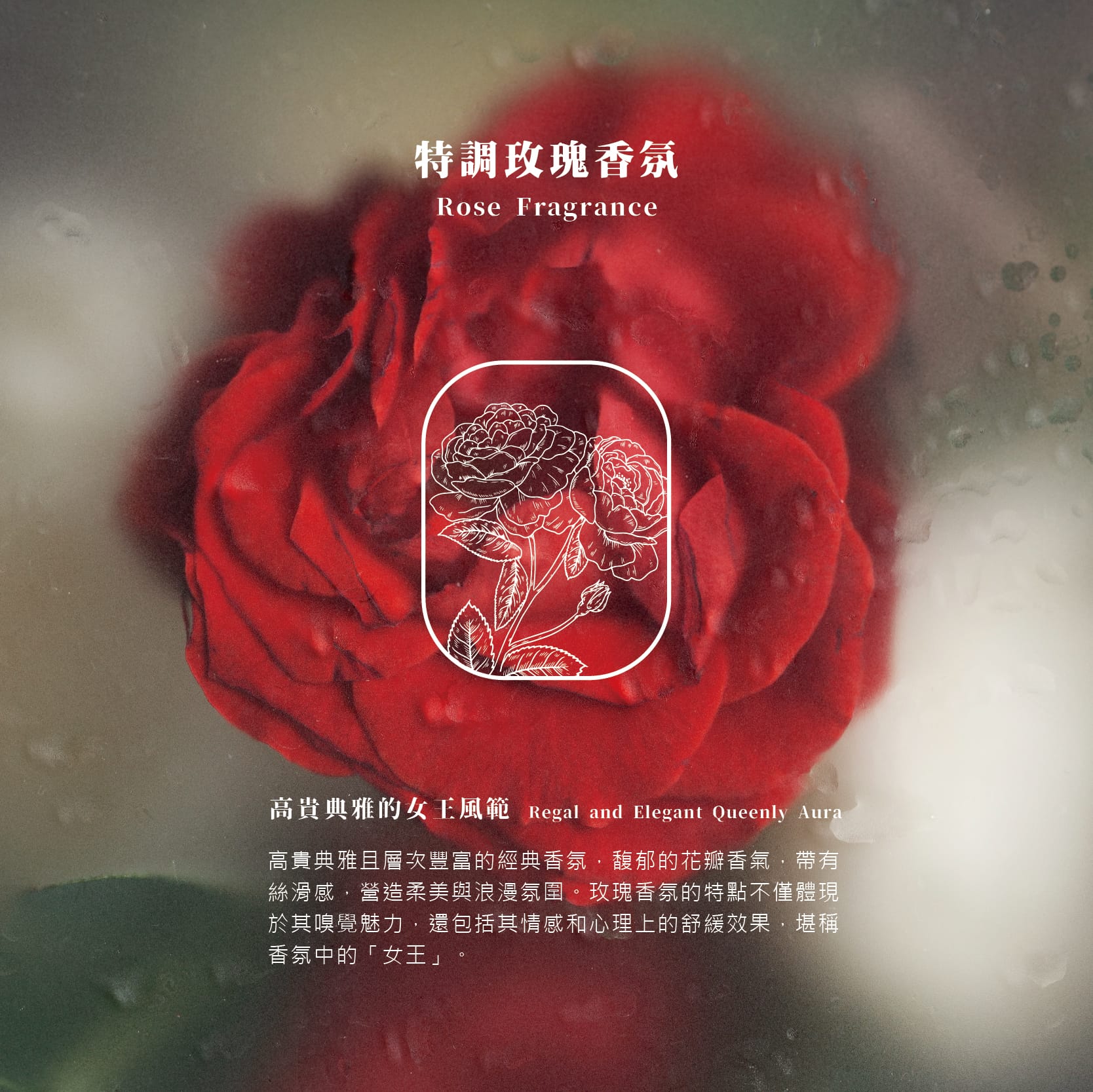 護髮素,護髮膜,玫瑰,深層修護,高效滋養,髮絲修護,柔順光澤,防止毛躁,抗靜電,抗紫外線,抗熱傷害,染燙髮,受損髮,乾燥順損,沙龍級,強韌髮絲,保濕鎖水,蓬鬆有彈性,豐盈秀髮,不扁塌