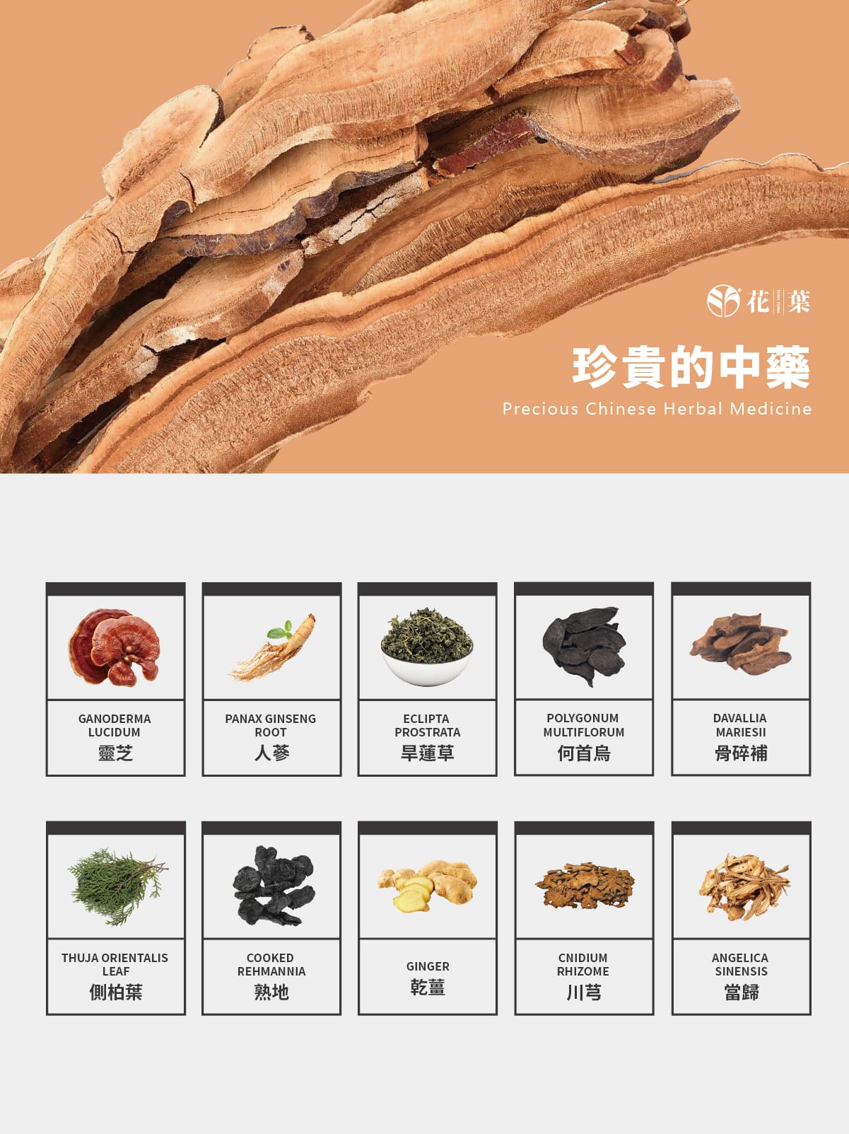 頭皮養護,頭皮護理,漢方養髮,草本植萃,草本染髮,植萃染髮,中藥染髮,深層清潔,活絡頭皮,溫和去角質,平衡油脂,去頭皮屑,強健髮根,減少落髮,減少頭皮異味,頭皮SPA,滋養調理,中藥,養護泥,髮泥