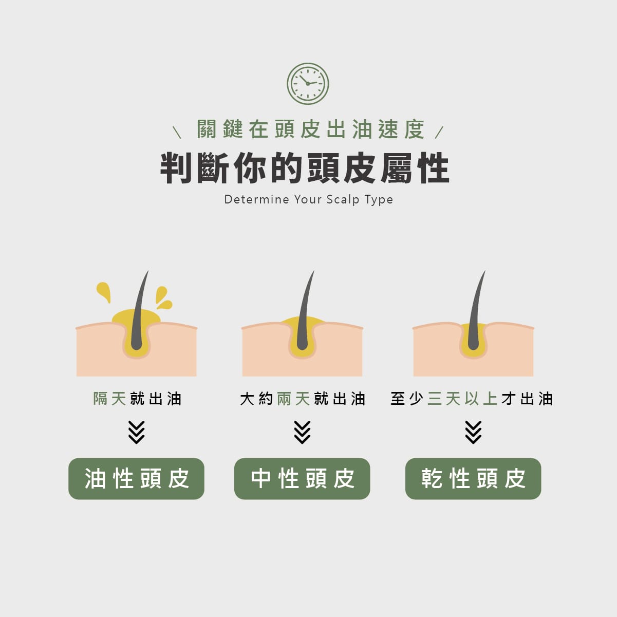 頭皮洗髮精,胺基酸,洗髮精,零矽靈,頭皮淨化,綠茶薄荷,溫和不刺激,濃密泡泡,親膚性,溫和潔淨,清爽無負擔,油性頭皮,沙龍級,不乾澀,柔順不糾結,何首烏,植萃,控油洗髮精,油水平衡,調理油脂