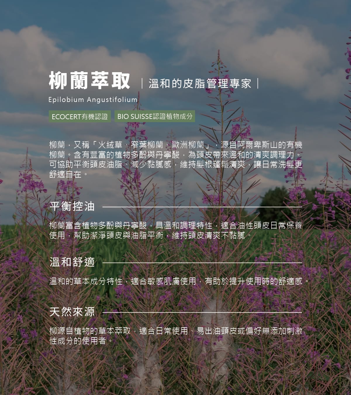 頭皮洗髮精,胺基酸,洗髮精,零矽靈,頭皮淨化,綠茶薄荷,溫和不刺激,濃密泡泡,親膚性,溫和潔淨,清爽無負擔,油性頭皮,沙龍級,不乾澀,柔順不糾結,何首烏,植萃,控油洗髮精,油水平衡,調理油脂