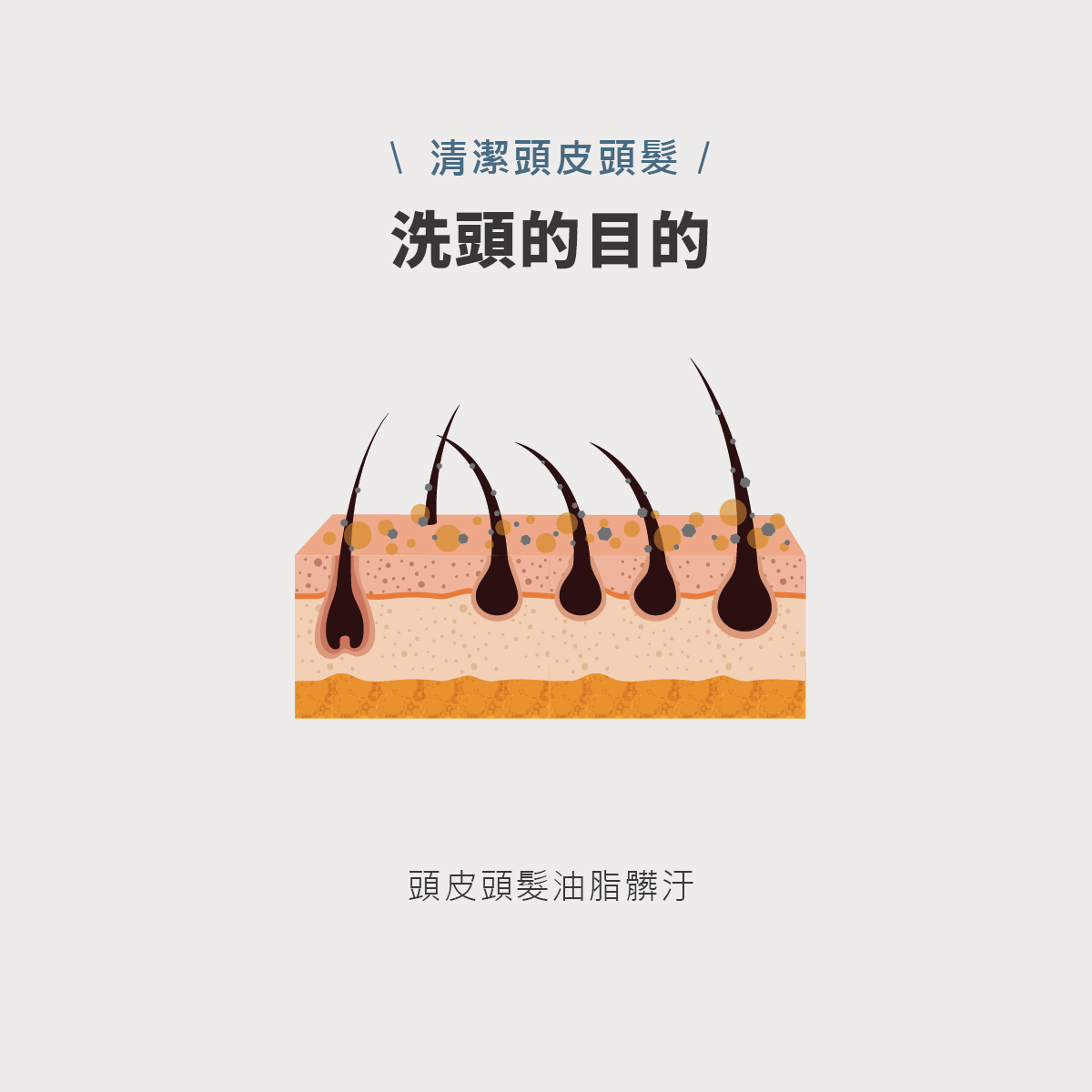 頭皮洗髮精,胺基酸,洗髮精,零矽靈,頭皮淨化,甜橙香味,溫和不刺激,濃密泡泡,親膚性,溫和潔淨,清爽無負擔,油性頭皮,乾性頭皮,敏感性頭皮,沙龍級,不乾澀,柔順不糾結,何首烏,成分單純,植萃