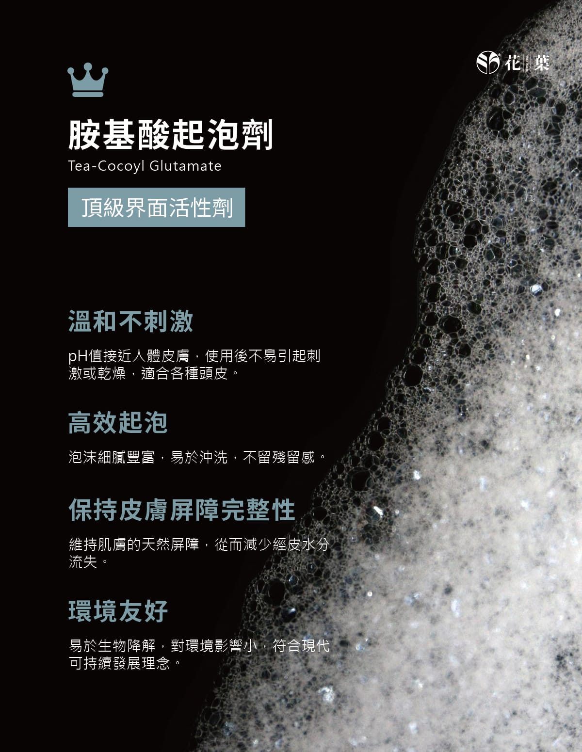 頭皮洗髮精,胺基酸,洗髮精,零矽靈,頭皮淨化,甜橙香味,溫和不刺激,濃密泡泡,親膚性,溫和潔淨,清爽無負擔,油性頭皮,乾性頭皮,敏感性頭皮,沙龍級,不乾澀,柔順不糾結,何首烏,成分單純,植萃